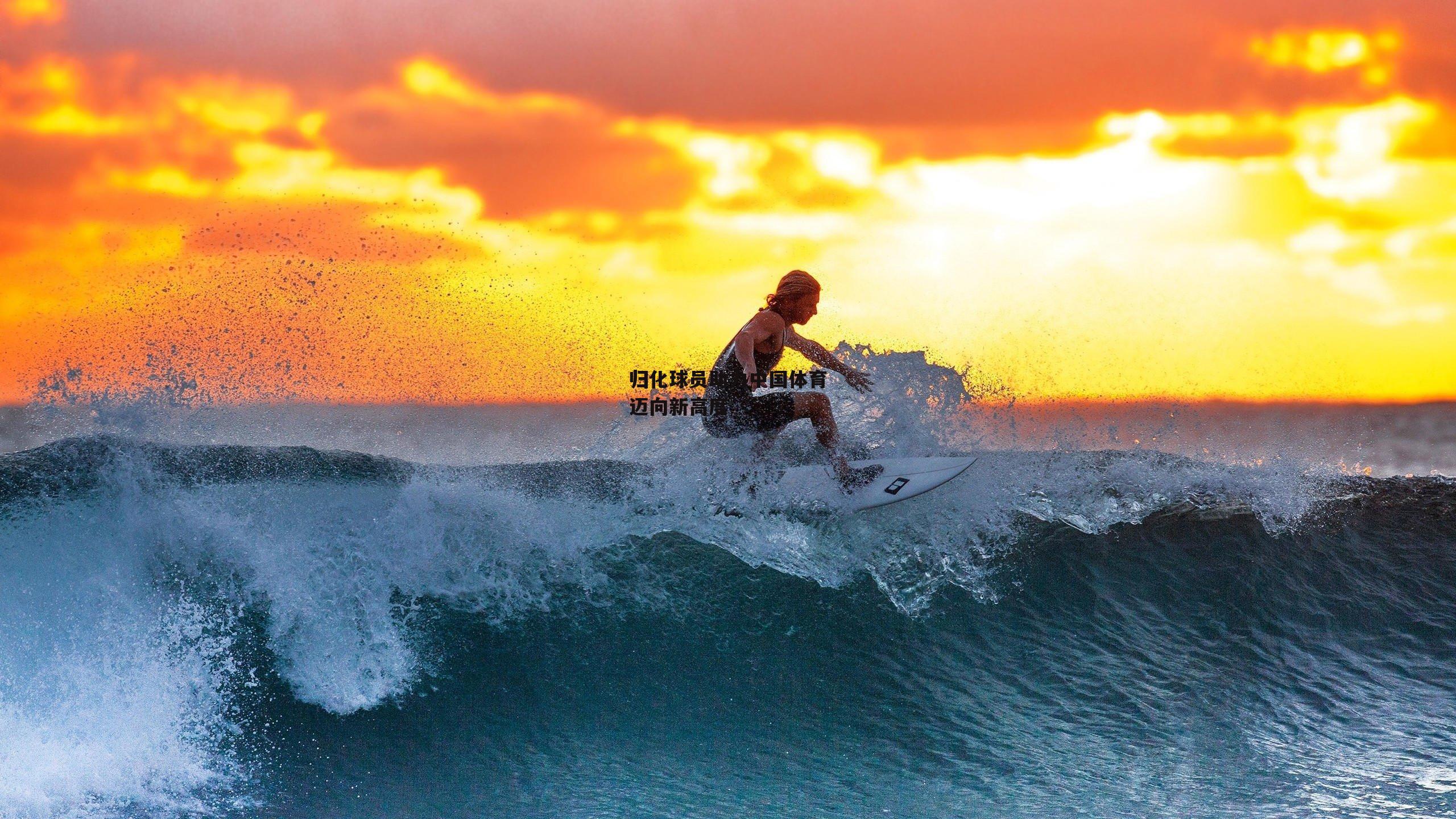 归化球员助力中国体育迈向新高度